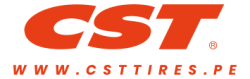 logo-csttires